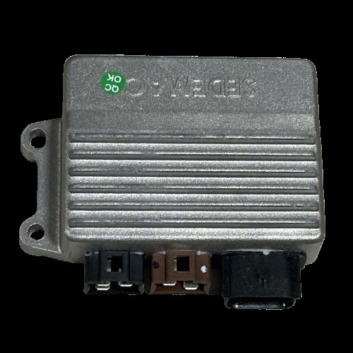 Tvs Raider 125 Kontrol Ünitesi Orjinal