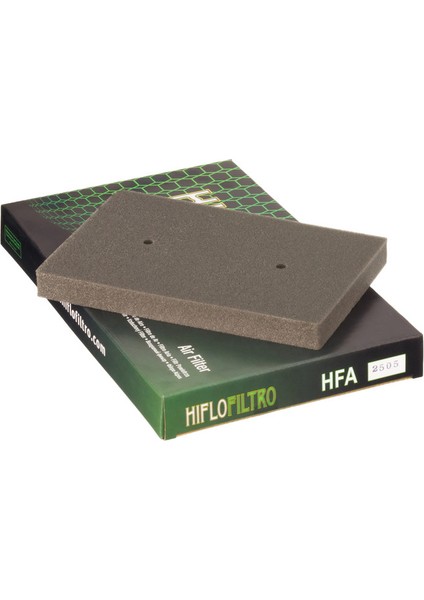 Hiflo Hıflo Hfa2505 Hava Filtresi Ex250. Ex300. Nınja300. Z300