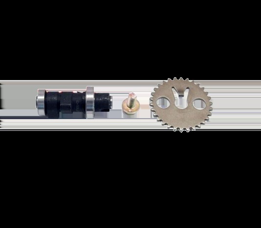 Sym orbit 50 4T - Mio 50 4T Efi Eksantrik Mili ve Eksantrik Yaprak Dişli Sym orbit 50 4T - Mio 50 4T Efi Eksantrik Mili ve Eksantrik Yaprak Dişli