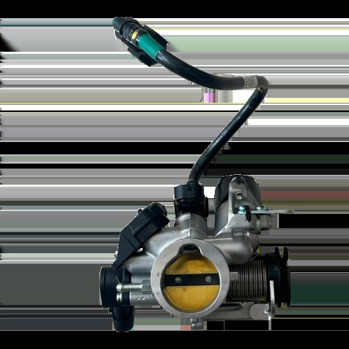 Bajaj Pulsar RS 200 Gaz Kelebek Gövdesi Orijinal