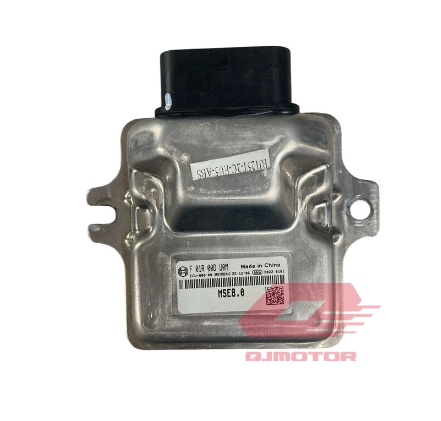 QJ LTM 125 BEYİN V29