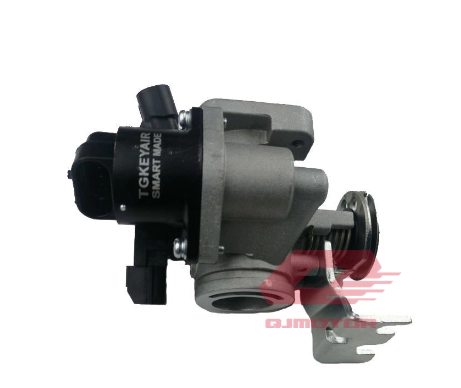 QJ VPS 125 LTM 125 GAZ KELEBEĞİ KOMPLE A V30 QJ VPS 125 LTM 125 GAZ KELEBEĞİ KOMPLE A V30